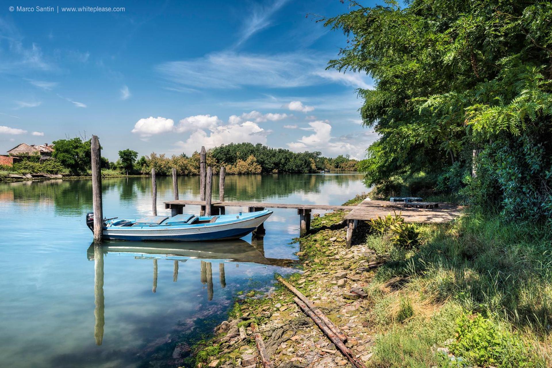 Flowers House - Host Solution